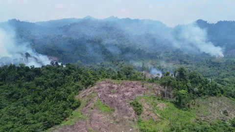 Aerial view of forest fires or forest burning to clear land in the mountain.. Stock Footage 291281602