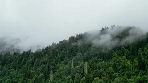 Aerial view of the forest in the fog. Rainy weather in mountains. Misty fog b Stock Footage 249246727