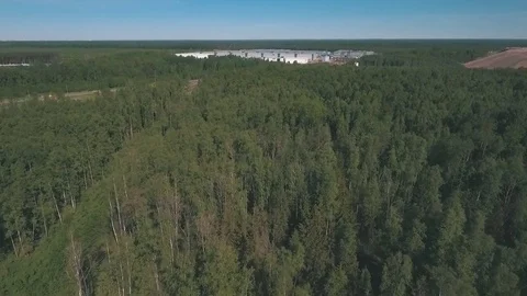 Aerial view on forest Stock Footage 79761264