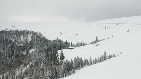 Aerial view of the forest Stock Footage 87693636