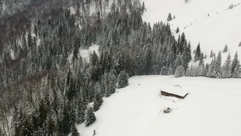 Aerial view of the forest Stock Footage 87693992