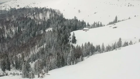 Aerial view of the forest Stock Footage 87694050