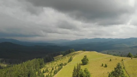 Aerial View Of the forest Stock Footage 93609989