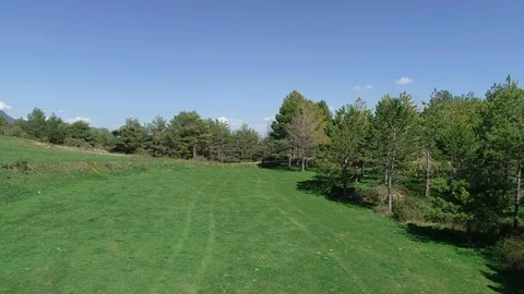 Aerial view of a forest Stock Footage 101097010