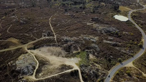 AERIAL VIEW OF FOREST Stock Footage 105544290