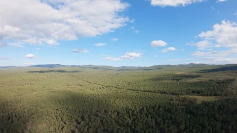Aerial view of forest Stock Footage 112066528