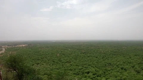 Aerial view of a forest Stock-Footage 112584474