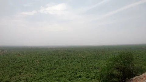 Aerial view of a forest Stock-Footage 112584735