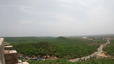 Aerial view of a forest Stock-Footage 112585495