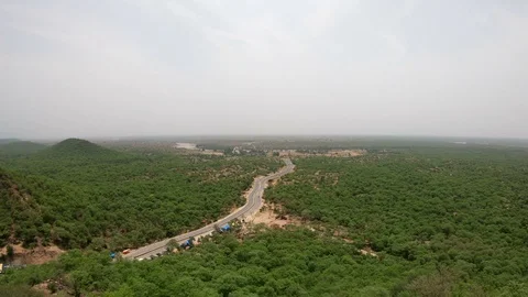 Aerial view of a forest Stock-Footage 112585548