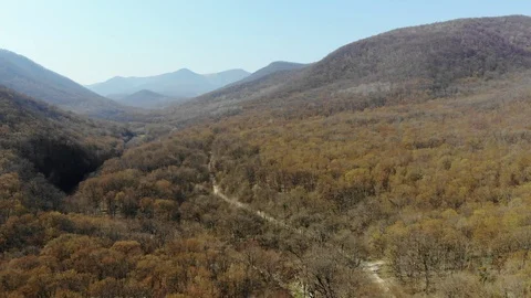 Aerial view of the forest. Stock Footage 124756325