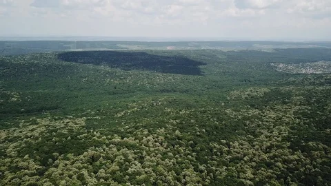 Aerial view of forest Stock Footage 129171541