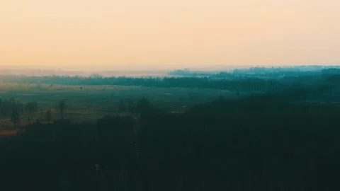 Aerial view of a forest Stock Footage 129588056