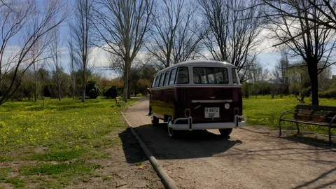 Aerial view in the forest Stock Footage 129634789