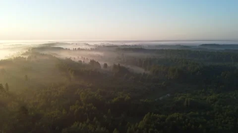 Aerial view of the forest Stock Footage 170443222