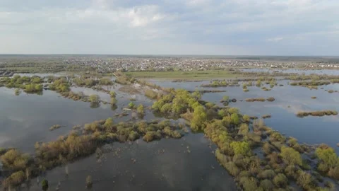 Aerial view of forest Stock Footage 193802976