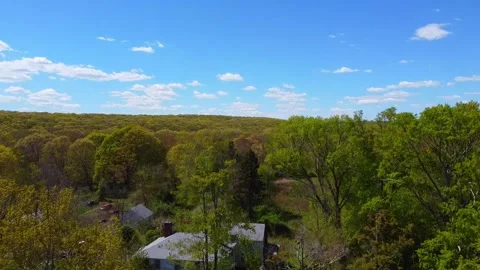 Aerial view of a forest Video stock 246402281