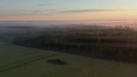 Aerial View of Forest Stock Footage 251007350