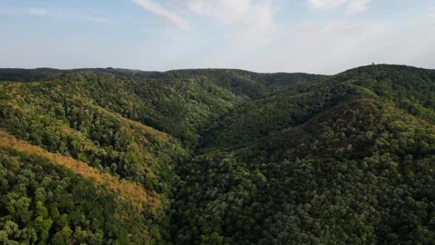 Aerial view of forest 動画素材 287118506