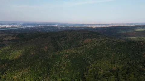 Aerial view of forest Stock Footage 287118525