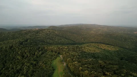 Aerial view of forest Stock Footage 287118844