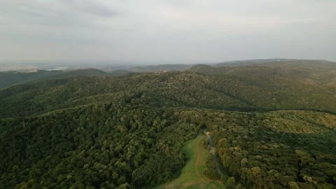 Aerial view of forest Stock Footage 287118857