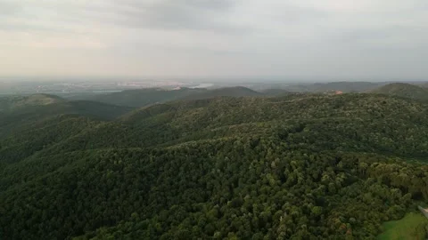 Aerial view of forest Stock Footage 287119028