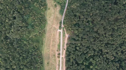 Aerial view of forest Stock Footage 287119106