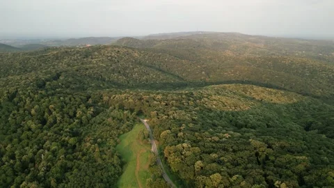 Aerial view of forest Stock Footage 287119206