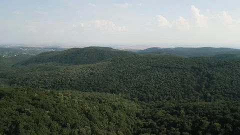 Aerial view of forest Stock Footage 287119532
