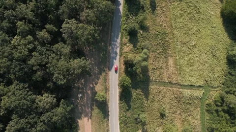 Aerial view of forest Stock Footage 287119645