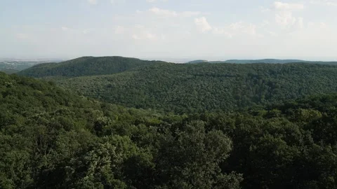 Aerial view of forest Stock Footage 287119935