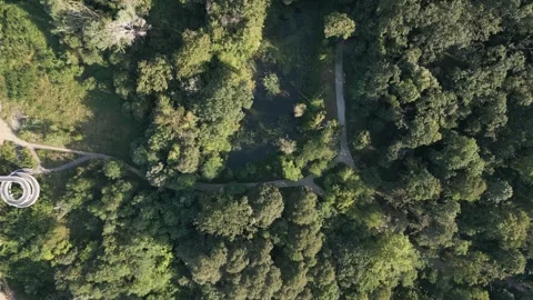 Aerial view of forest Stock Footage 287120040