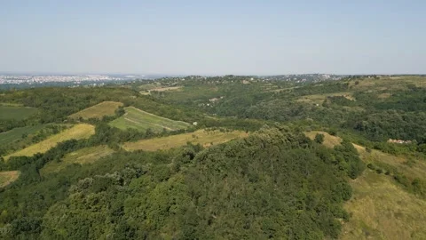 Aerial view of forest Stock Footage 287120166