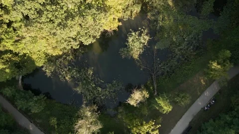 Aerial view of forest Stock Footage 287120748