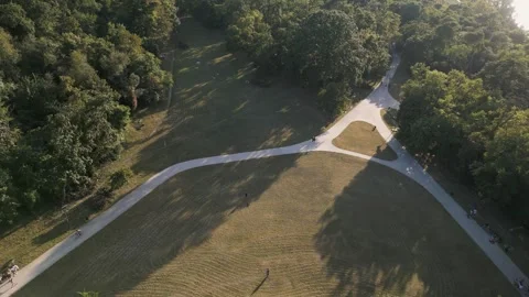 Aerial view of forest Stock Footage 287120793