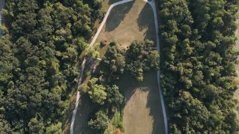 Aerial view of forest Stock Footage 287120808