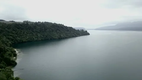 Aerial view of the forest full of green trees by the sea, new zealand Stock Footage 220868073