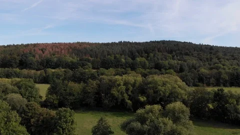 Aerial View Forest Germany Stock Footage 115955669