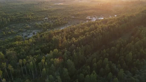 Aerial view of the forest green tree crowns woodlands Stock Footage 199981721