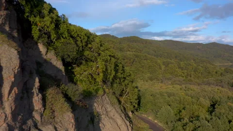 Aerial view of the forest of green trees that grow on the rocks Stock-Footage 143053054