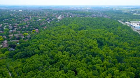 Aerial view of a forest greenspace in the middle of a city Stock Footage