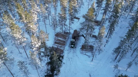 Aerial view of a forest harvester operating in winter, Finland Stock Footage 300960277