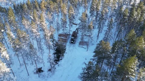 Aerial view of a forest harvester operating in winter, Finland Stock-Footage 300960458
