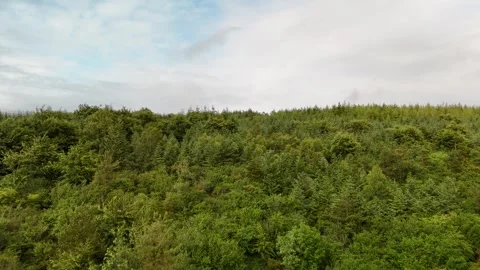 Aerial View of Forest Hills and Farmland Under Cloudy Sky Vidéo 333336611
