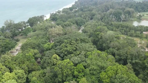 Aerial view of Forest, Hotel and Beach in Johor Stock Footage 148012865