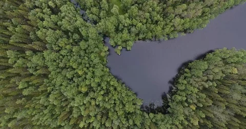 Aerial view of the forest lake Stock Footage