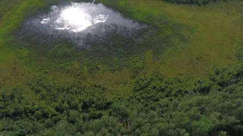 Aerial view of a forest lake Vídeo Stock 118160004