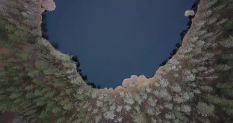 Aerial view on the forest lake Stock Footage 175376448