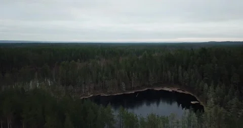 Aerial view on the forest lake Stock Footage 175377776